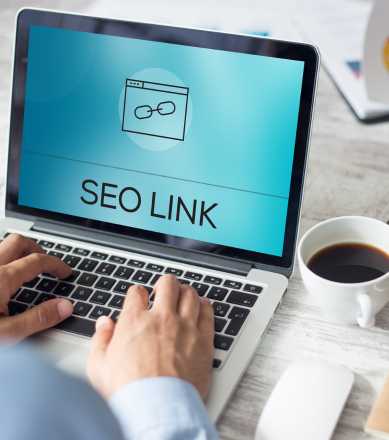 professional seo services Delhi NCR