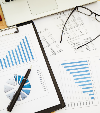 seo service provider in Noida